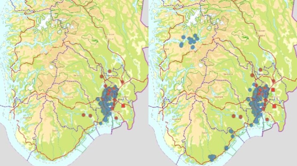 Før 2020 (fra 1963-2019) var sykdommen hovedsakelig begrenset til Oslofjord området (venstre). I perioden 2020-2024 ble sykdommen påvist både på Vestlandet og Sørlandet (høyre).