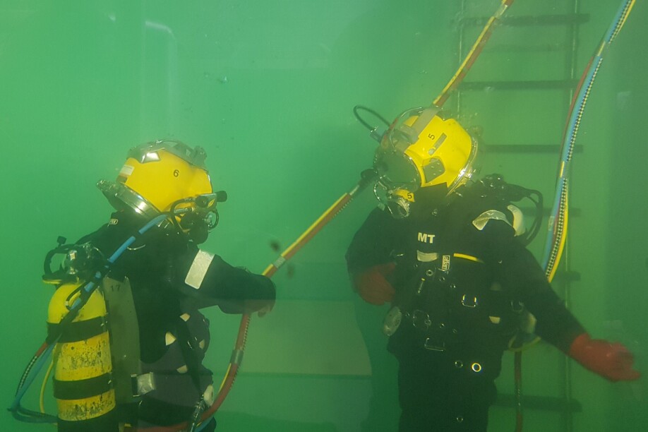 Dykkersyke kan gi fisken alvorlige helseproblemer