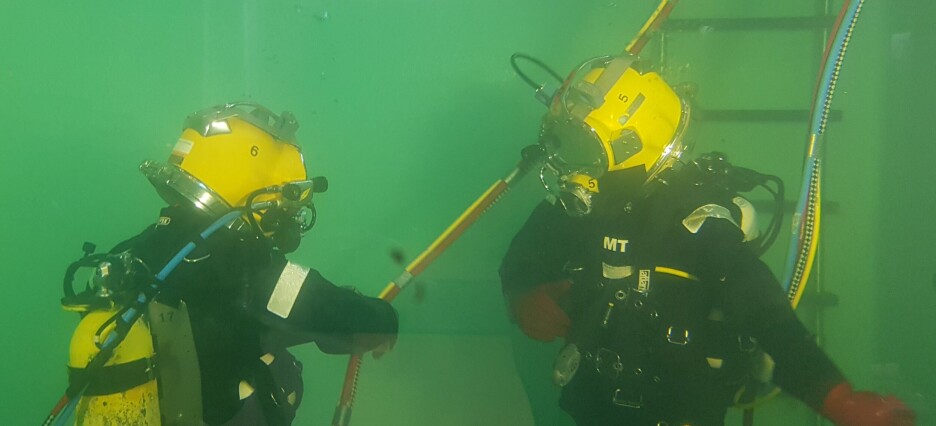 Dykkersyke kan gi fisken alvorlige helseproblemer