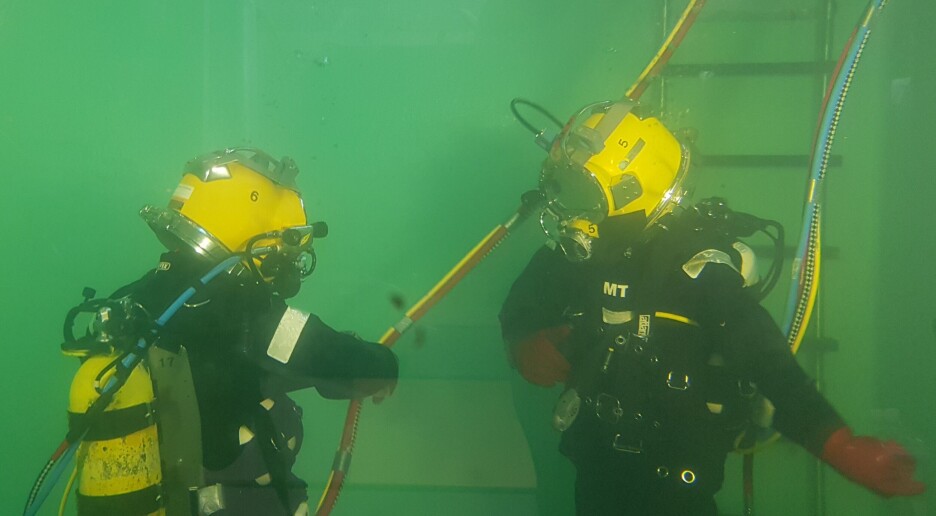 Dykkersyke kan gi fisken alvorlige helseproblemer