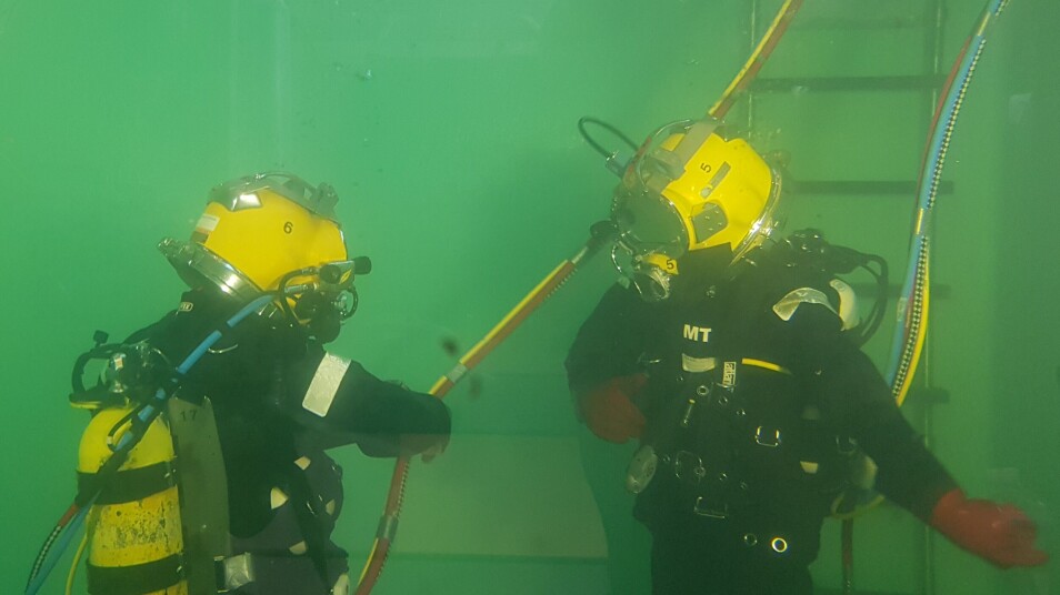 Dykkersyke kan gi fisken alvorlige helseproblemer