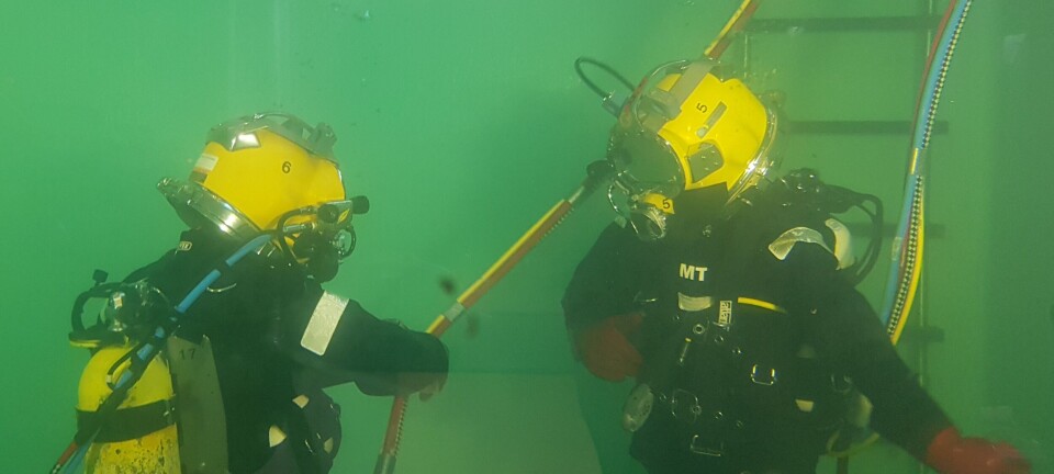 Dykkersyke kan gi fisken alvorlige helseproblemer