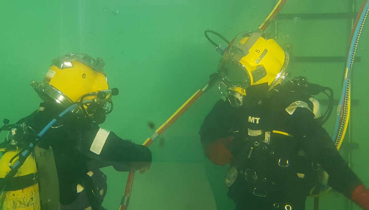 Dykkersyke kan gi fisken alvorlige helseproblemer
