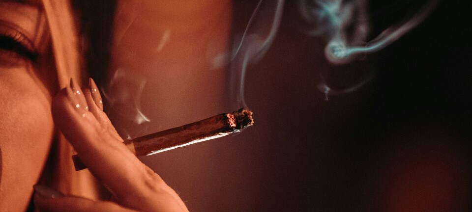 Cannabis-bruken i Norge har økt: – Ikke alle trenger moralprekener eller bekymrede blikk