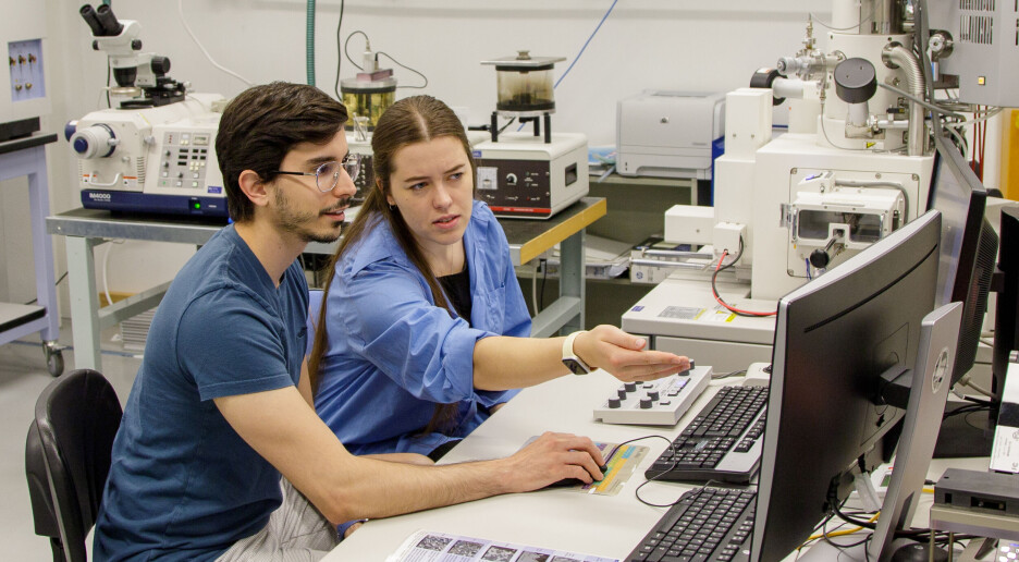 I kampen om mikrobrikkene må Europa utdanne flere teknologer