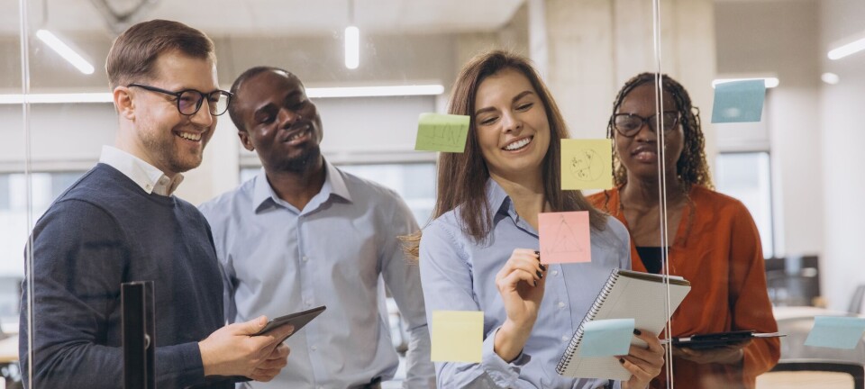 De skjulte kostnadene ved mislykket integrering