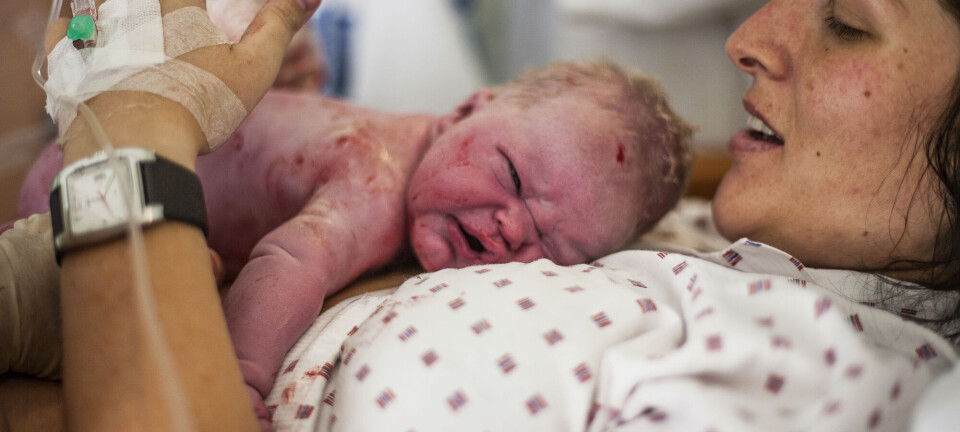 Helsedirektoratet ignorerer viktig forskning om fødselsomsorgen