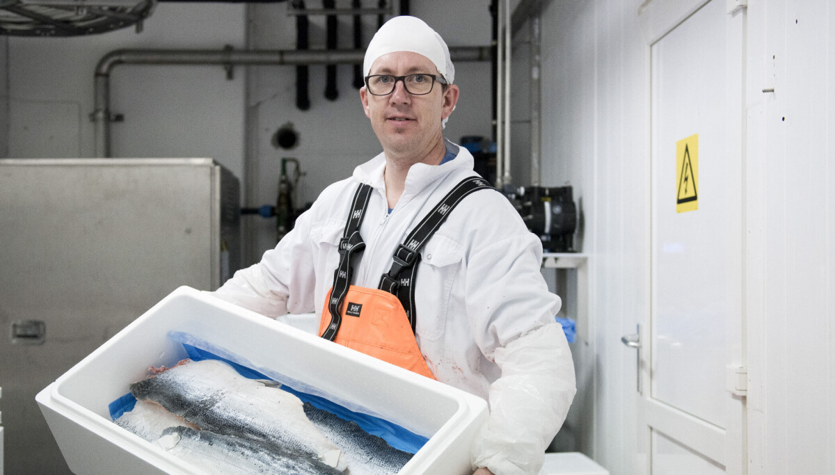 Transport av fisk kan ende i store bøter. Det er helt unødvendig