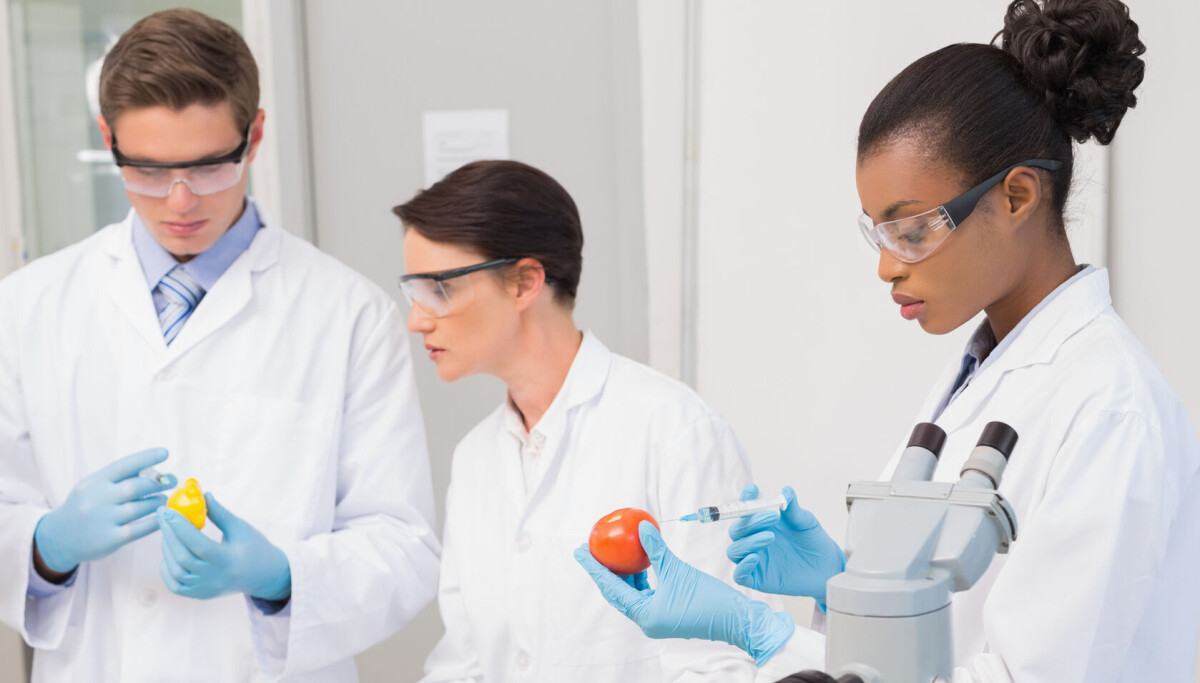 Ultraprosessert mat: Feil om myter