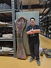 Stor dinosaurknokkel står ved siden av forsker Thitiwoot Sethapanichsakul i et lager.