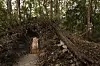 Malt figur i en døråpning i en jord- og steinstruktur i en skogkledd maya-ruin.