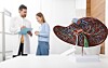 Anatomisk levermodell i forgrunnen og to helsearbeidere med journal i et lyst medisinsk miljø.