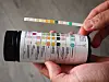 Hender holder en hvit, lang, tynn urinstix dekket med firkanter med farger fra lyst, via gult, grønt og turkis. Den holdes over en flaske med fargeskala for urinanalyse.